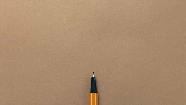  What is Alt Text?