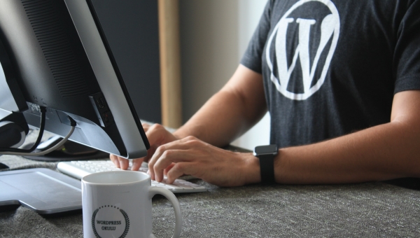 5 Best WordPress plugins for your ecommerce website